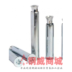 白色内膨胀螺丝（元/盒）