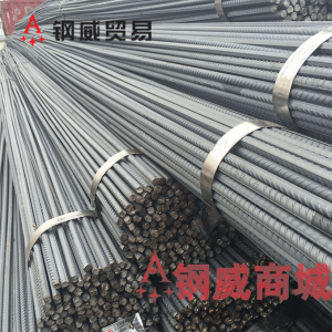 螺纹钢筋三级抗震螺纹钢HRB400E建筑工程用钢材（ϕ25*9m）